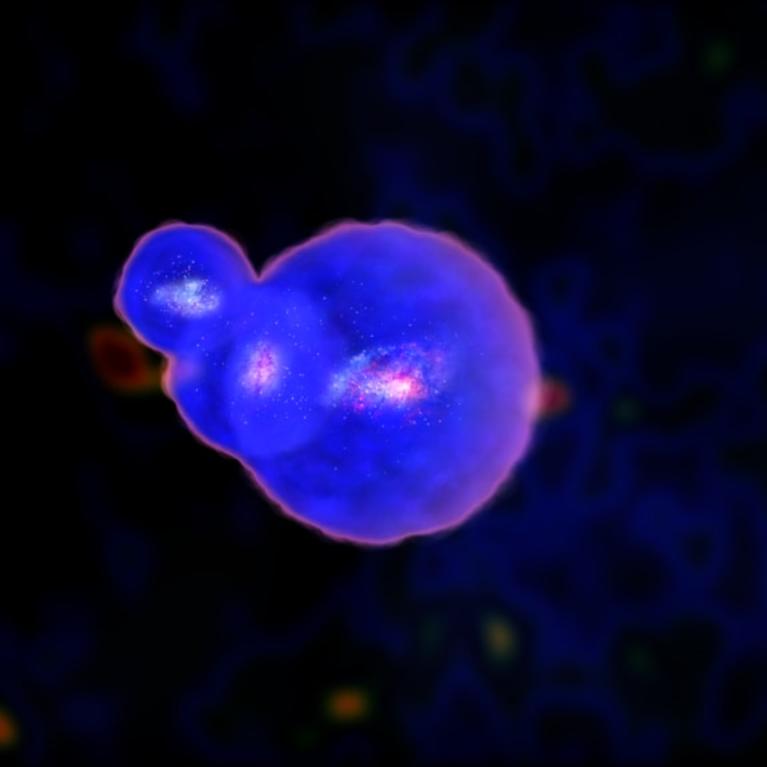 Illustration of the EGS77 galaxy group shows the galaxies surrounded by overlapping bubbles of hydrogen ionized by ultraviolet light from their stars. (NASA's Goddard Space Flight Center)