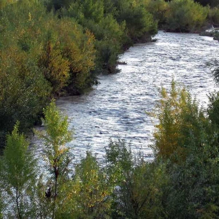 Santa Ana River (c) Christine French