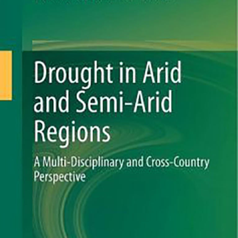 Kurt Schwabe book cover (c) Springer