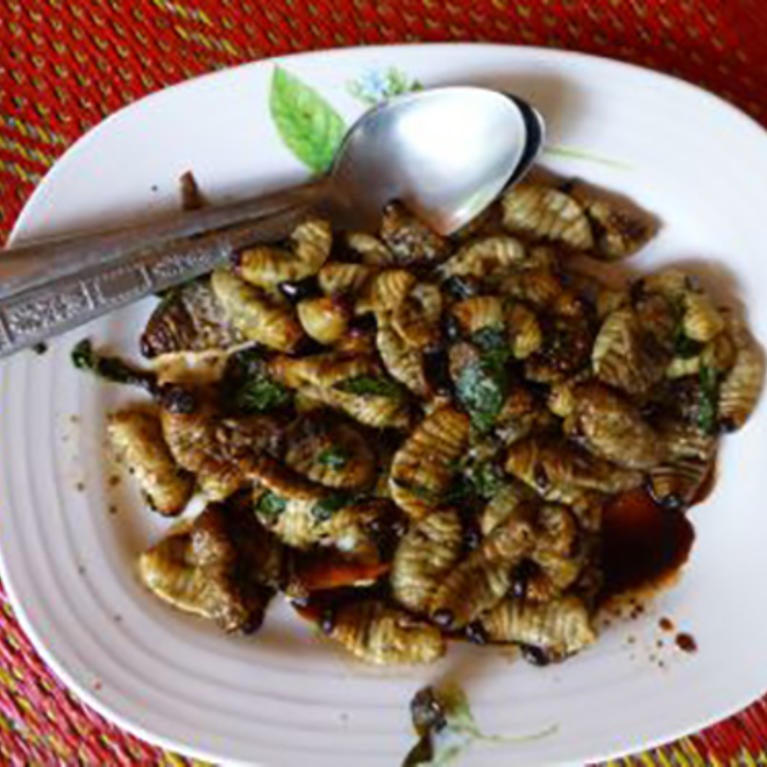 cooked weevil larvae (c) Hoddle Lab / UCR