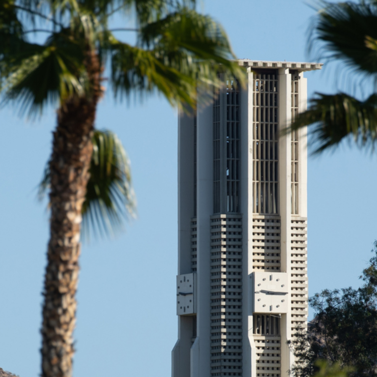 Palm-trees-bell-tower