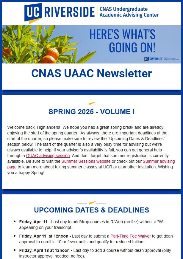 Newsletter Screenshot 25W 1