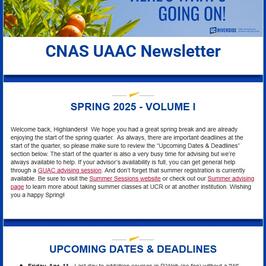 Newsletter Screenshot 25S 1