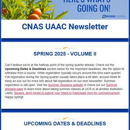 Newsletter Screenshot 25S 2