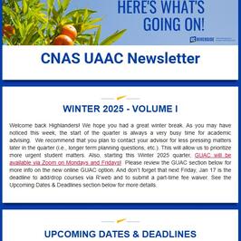 Newsletter Screenshot 25W 1