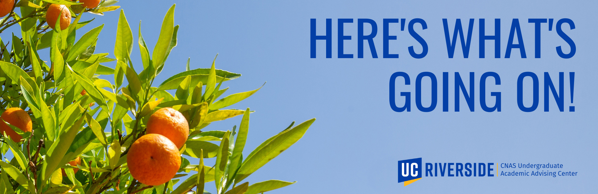 Newsletter Carousel Image