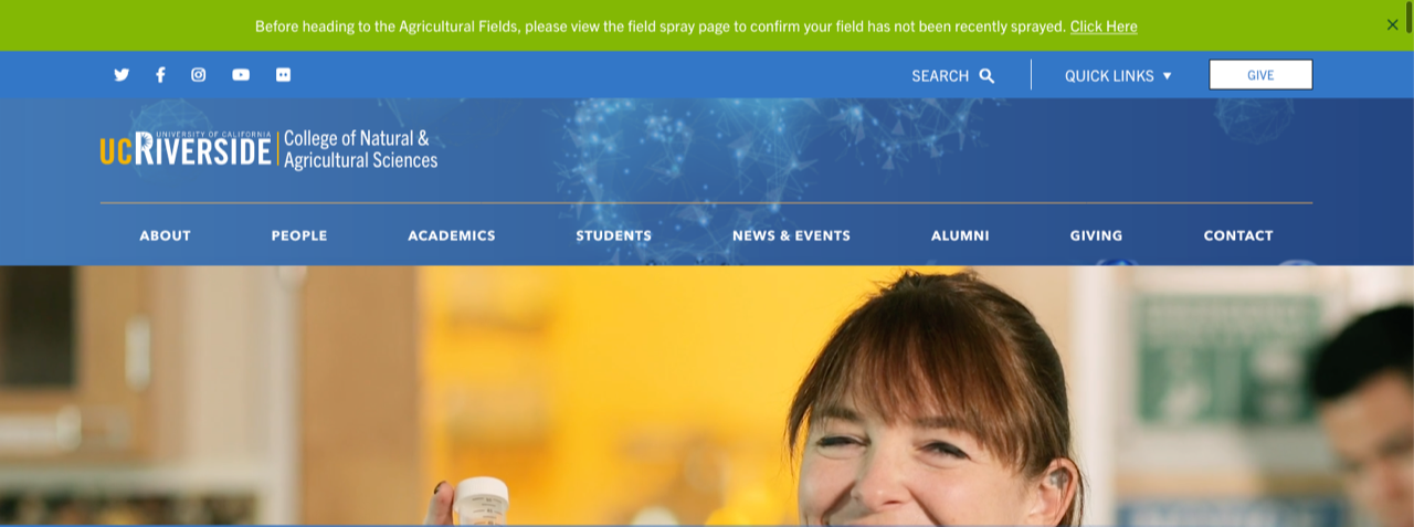 Custom Alert example green