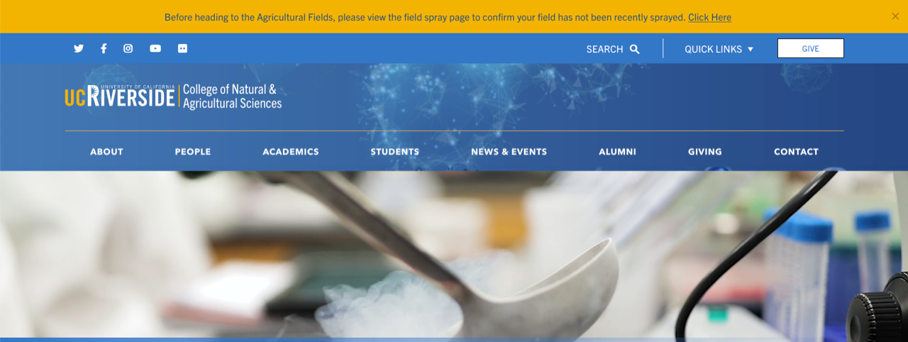 Custom Alert example yellow