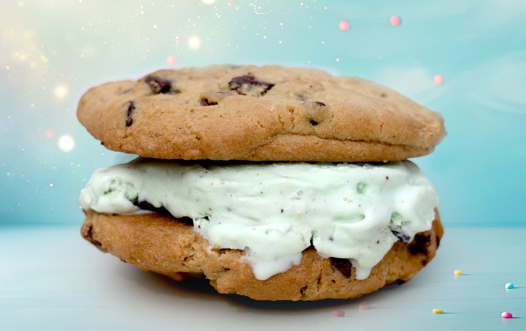 Ice cream chocolate chip sandwich