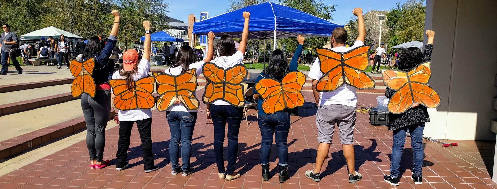 Poder Butterfly, USP