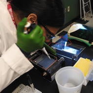 Student loading gel