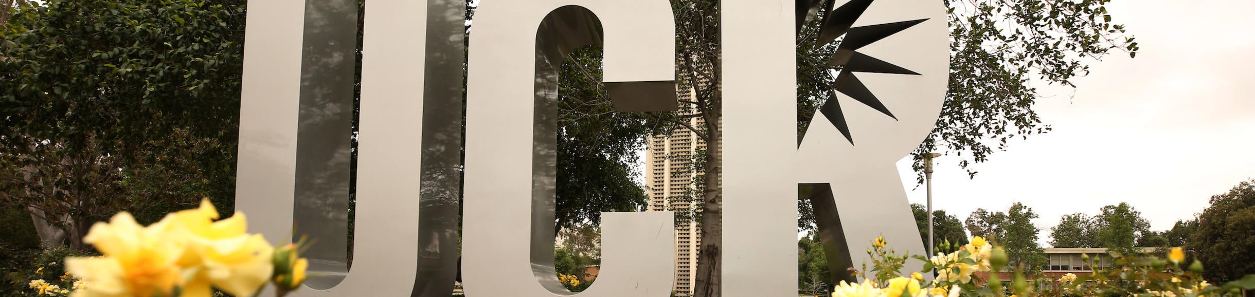 UCR Through the Roses