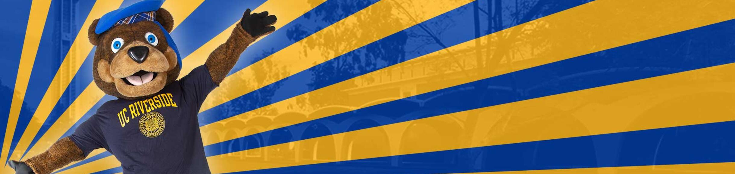 Scotty the Bear Blue and Gold