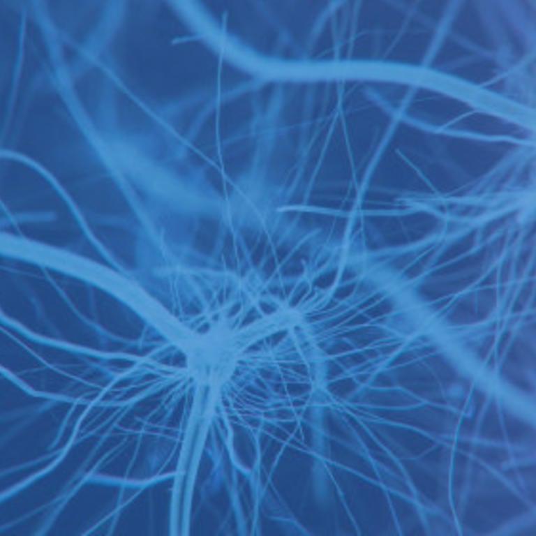 synapses (c) iStock