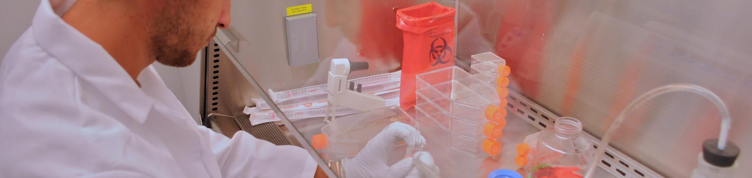 School of Medicine Researcher