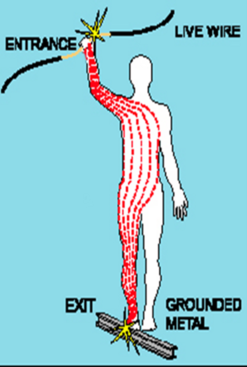 Graphic illustraing a common path of electricity through the body from right hand through the heart and out the right leg.