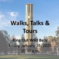 W25 Ring Out Wild Bells