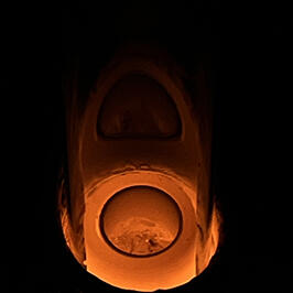 Brittney Terry img-3