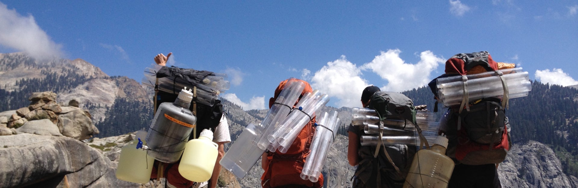 students researching