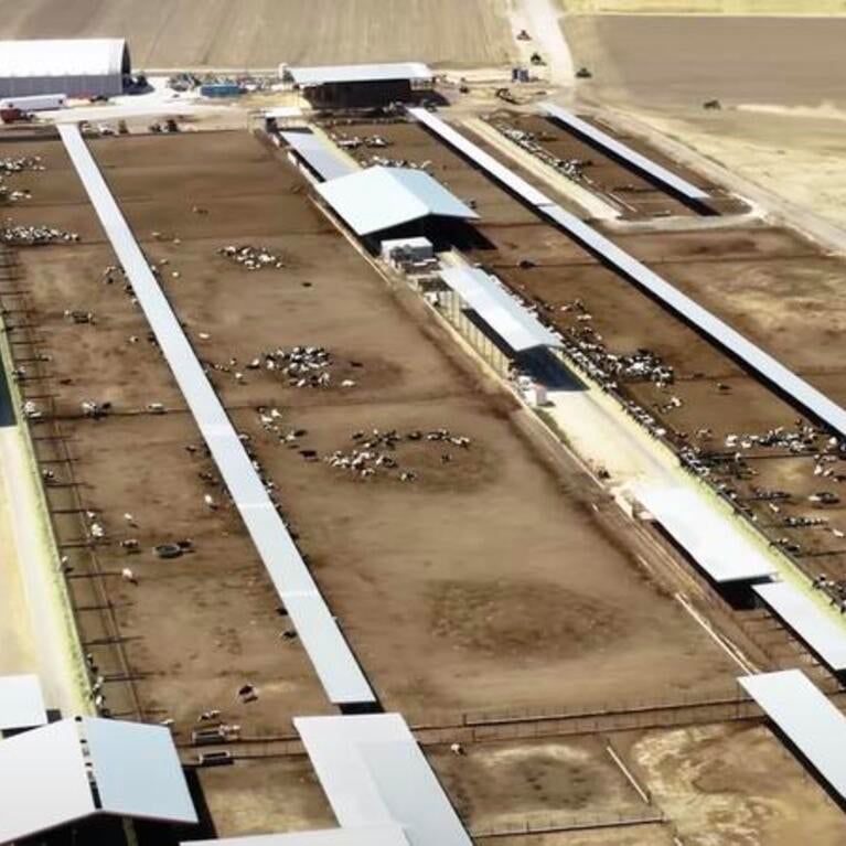 drone image of dairy farm