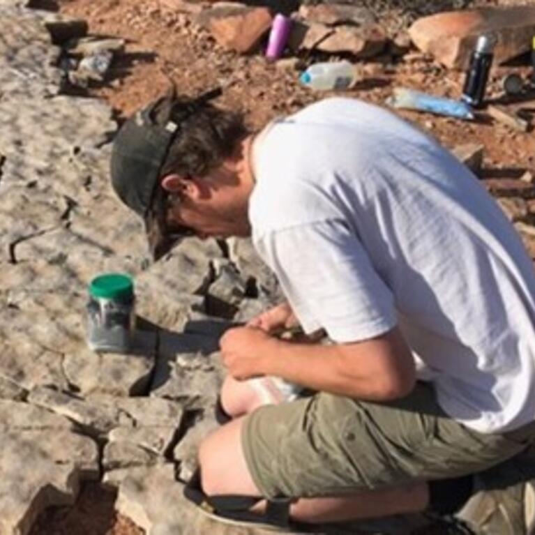 Man inspecting fossils