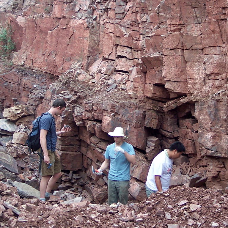 Reinhard and Planavsky