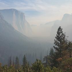 undergraduate students