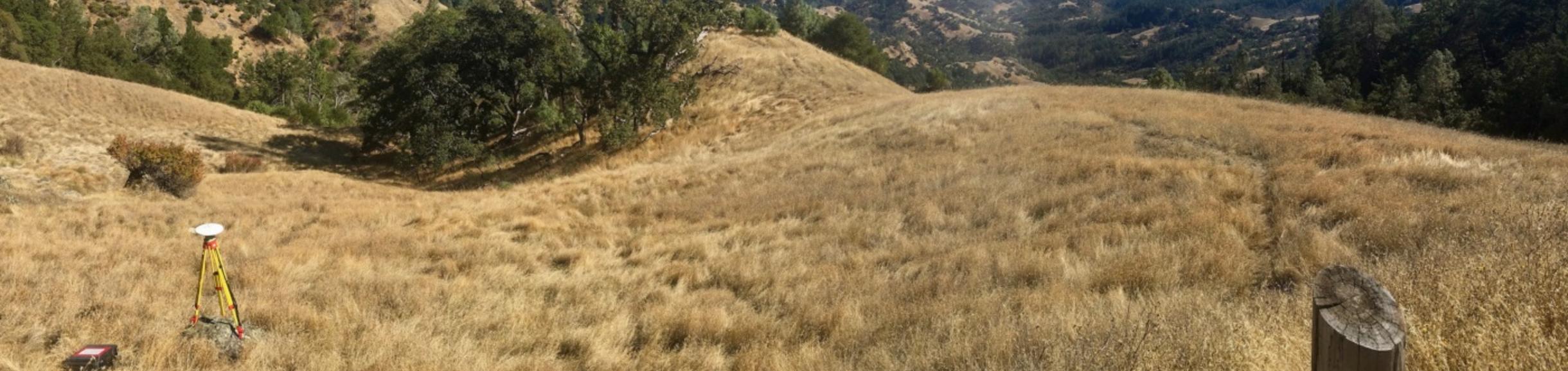 Image of golden rolling hills with trees.