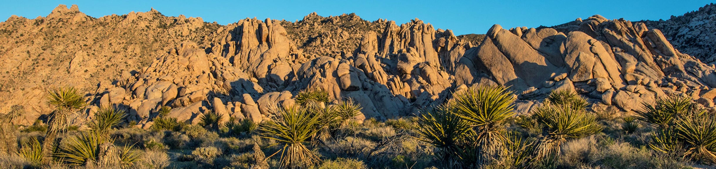 Granite Mountains UCR Natural Reserve (c) Mark Chappell