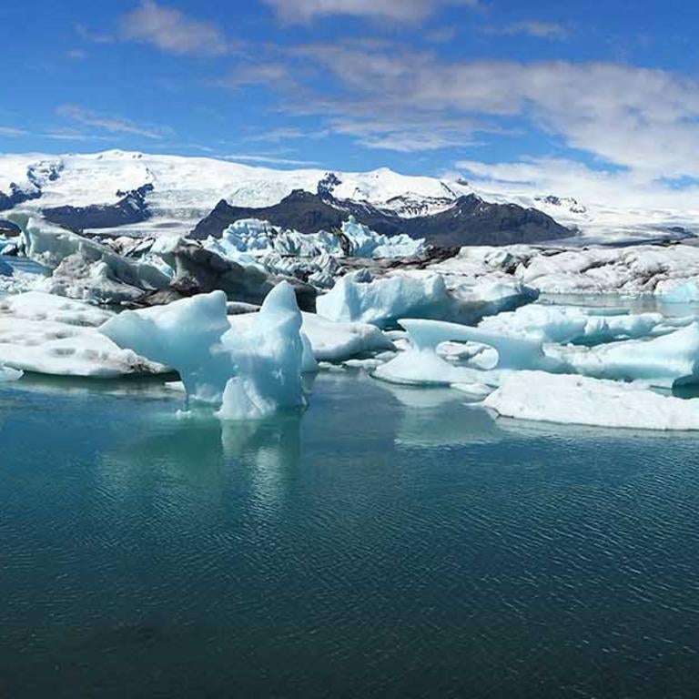 Icebergs (c) Rachel Terry