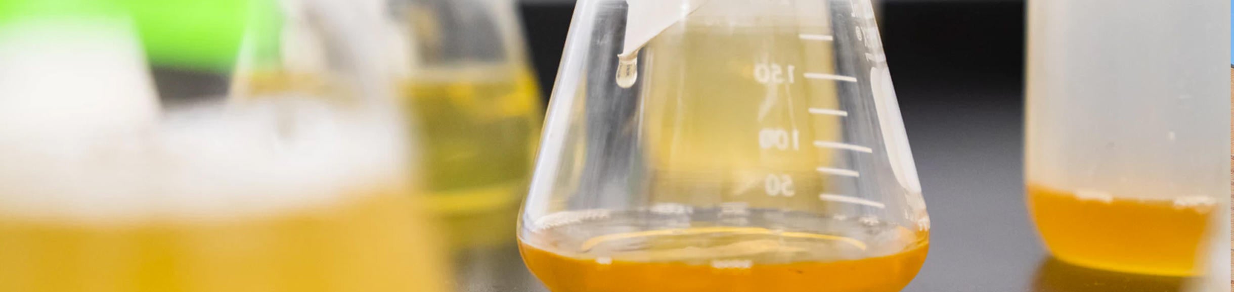 Unslpash- Experiment Yellow Vase