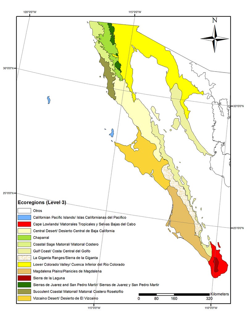 baja_ecoregions_map.jpg