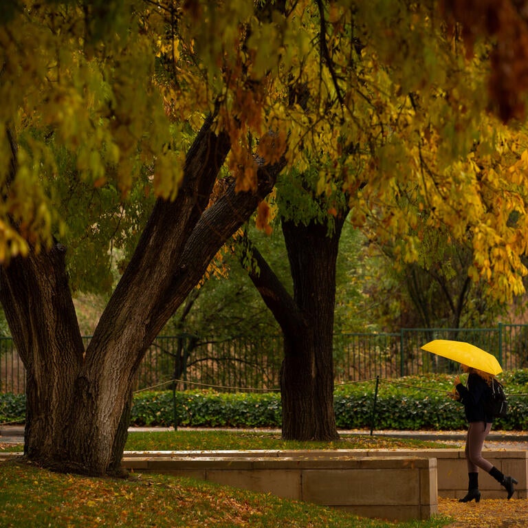 A student is shown walking with an open umbrella surrounded by trees