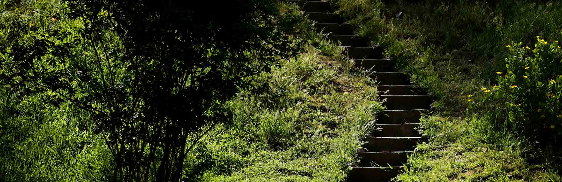 UC Riverside Botanic Gardens twilight tours (c) UCR / Stan Lim