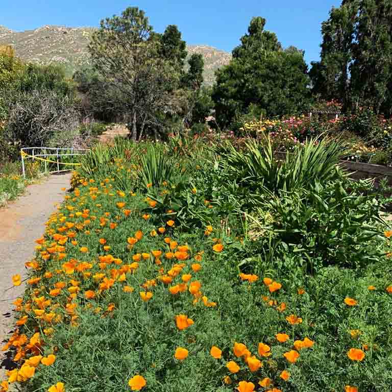 Botanic Gardens slideshow