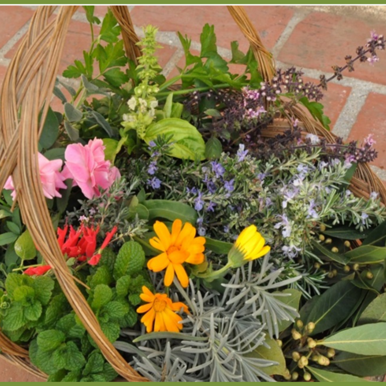 Edible Flowers & herbs class