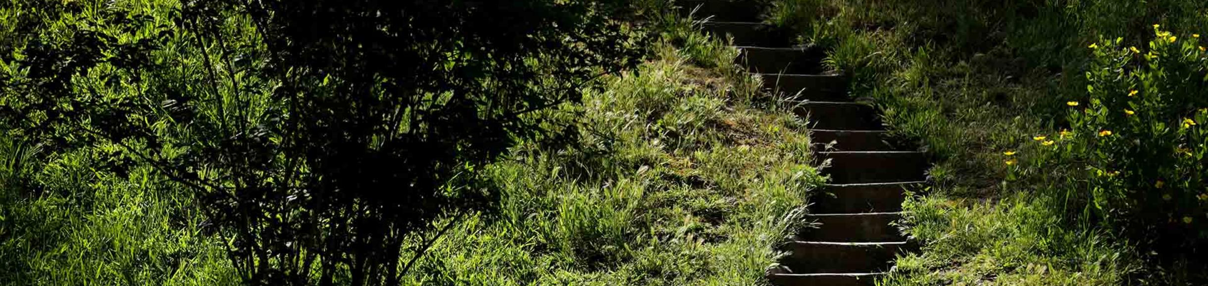 UC Riverside Botanic Gardens twilight tours (c) UCR / Stan Lim