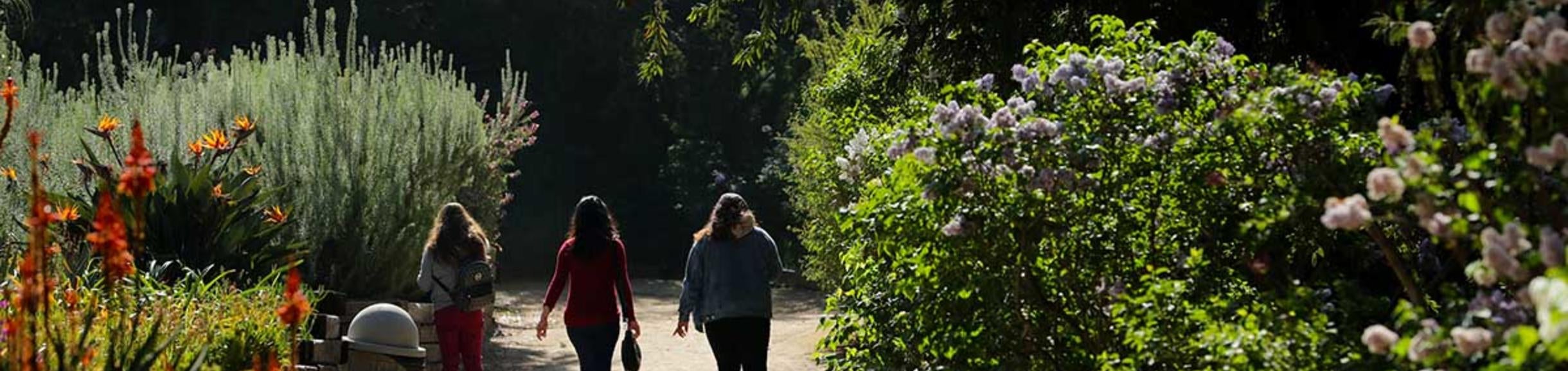 Students touring the Botanic Gardens
