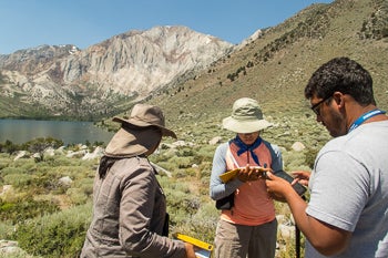 mapping project for undergraduate students