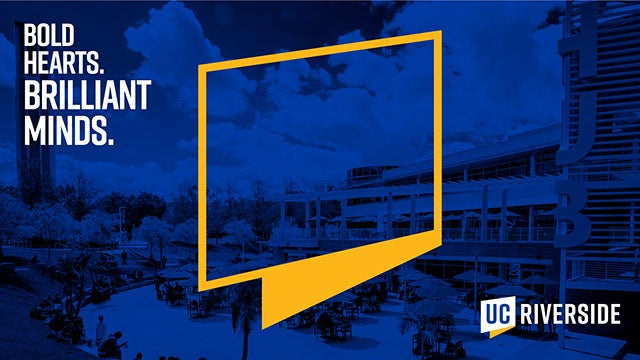 Thumbnail for the Bold Hearts Frame Zoom background.