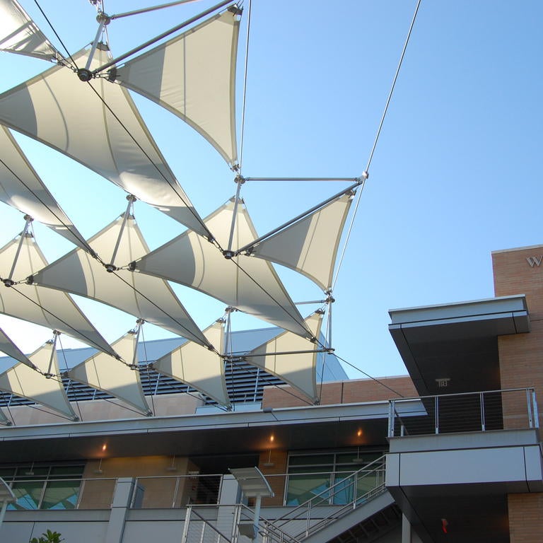 Engineering Building Sails, Winston Chung
