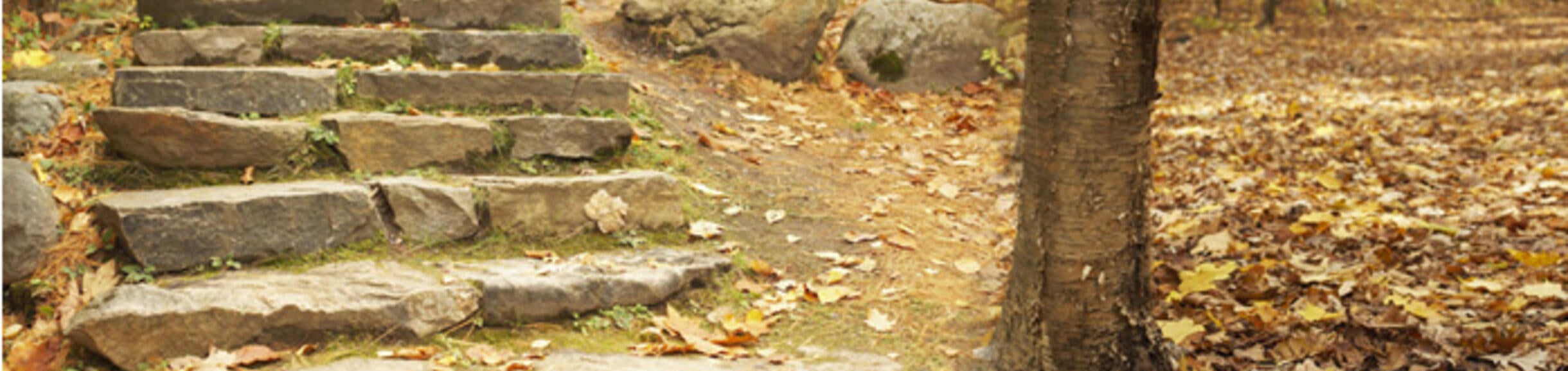 College Specific Milestones - Banner