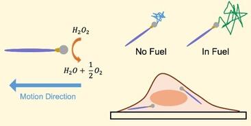nanomotor-graphical-abst