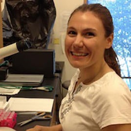 Rochelle Hoey-Chamberlain