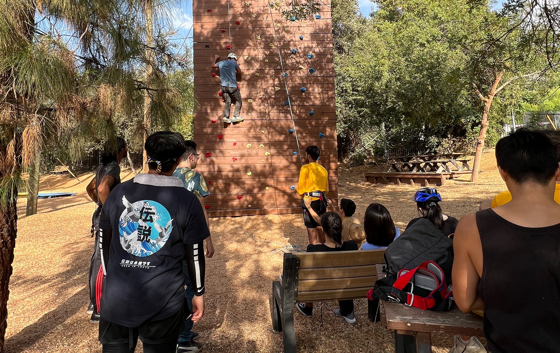Students climbing tree at ropes course