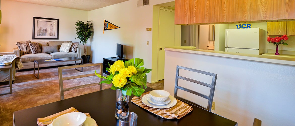 plaza interior apartment living/dining room