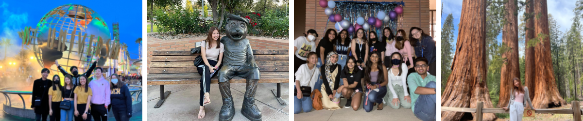 EA-StoryHighlight-SukanSuksawang-UCEAPatUCR-2022-collage