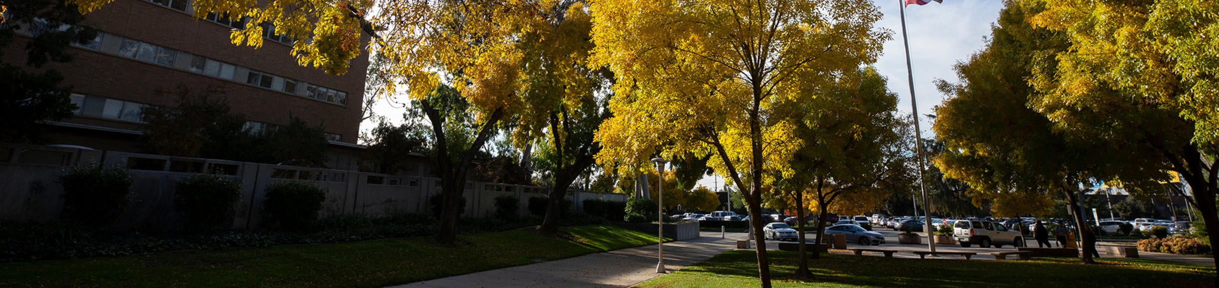 UCR Campus with the flag
