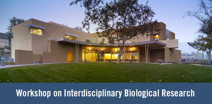 Workshop on IBR banner