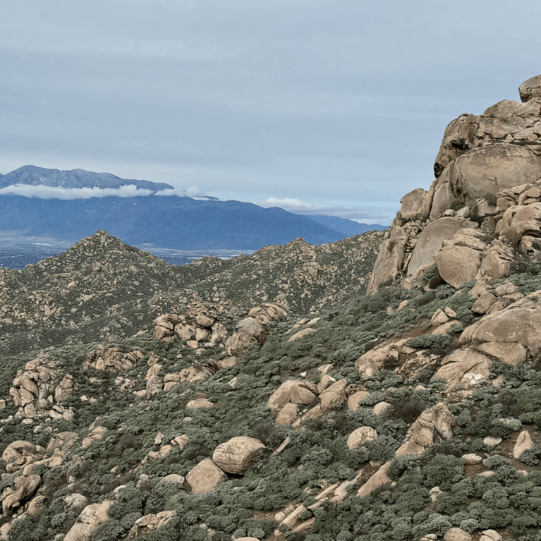 Riverside Box Springs